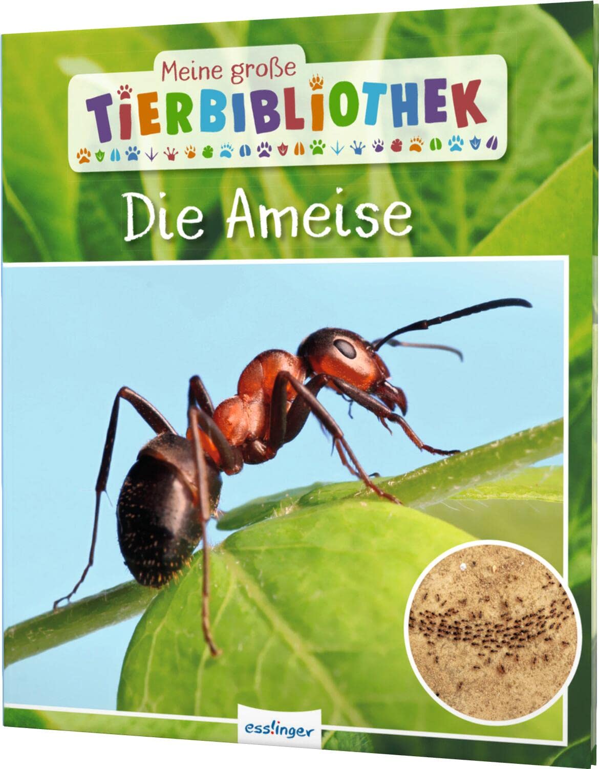 Esslinger In Der Thienemann-Esslinger Verlag Gmbh Meine Große Tierbibliothek: Die Ameise: Sachbuch Für Vorschule & Grundschule