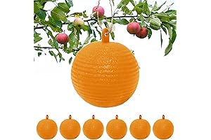 Pumpkin Shape Sticky Fly Trap Ball