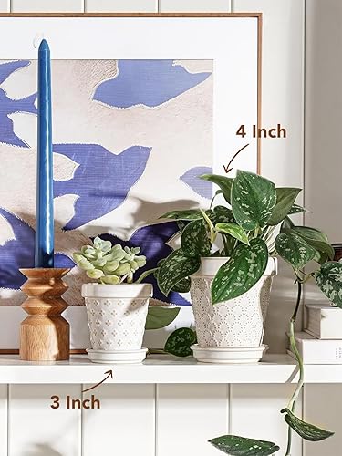 Miniatura 5 de LE TAUCI Macetas de cerámica para suculentas, maceta pequeña de 4 pulgadas para plantas de interior, macetas en relieve con orificio de drenaje y