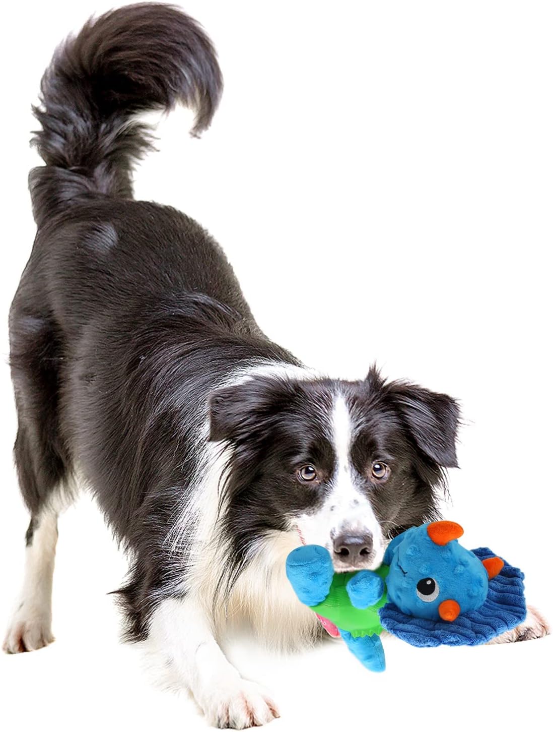 Pet Supplies ALL FOR PAWS Dog Toy Treat Hider Treatceratops Entice Independent Play with