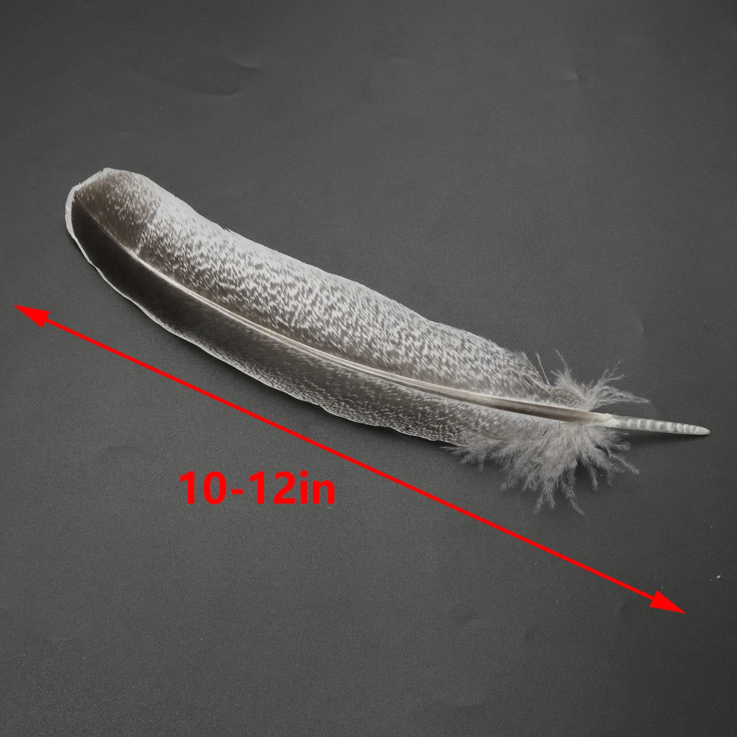 Turkey Feathers ZZHXSM 12pcs Natural Turkey Feathers Clothing, Hats, Holiday Decoration, 10-12 Inches/25-30cm Turkey Tail Feathers
