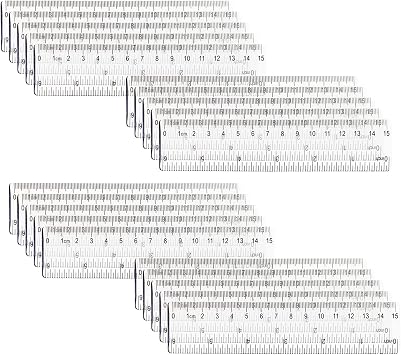 Chris.W 20 Pack Clear Plastic Ruler 6 Inch Straight Ruler Flexible with Inches and Metric for School Classroom, Home, or Office Clear