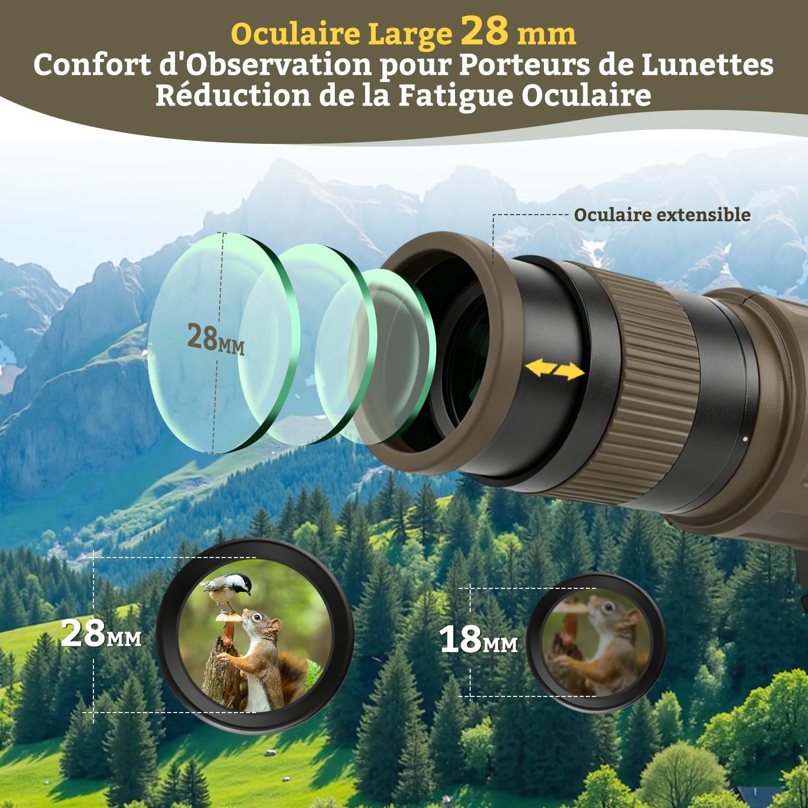 Longue-Vue 12×62 avec Trépied pour Observation des Oiseaux