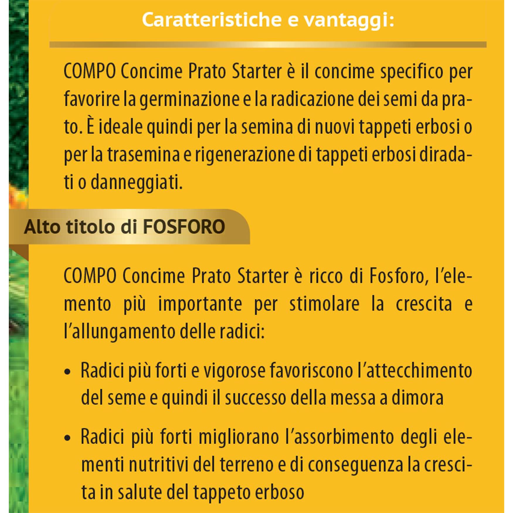 COMPO Concime per Prato Starter, Per la Semina e la Rigenerazione di Tappeti Erbosi, Per Radici Più Forti, 2,5 kg
