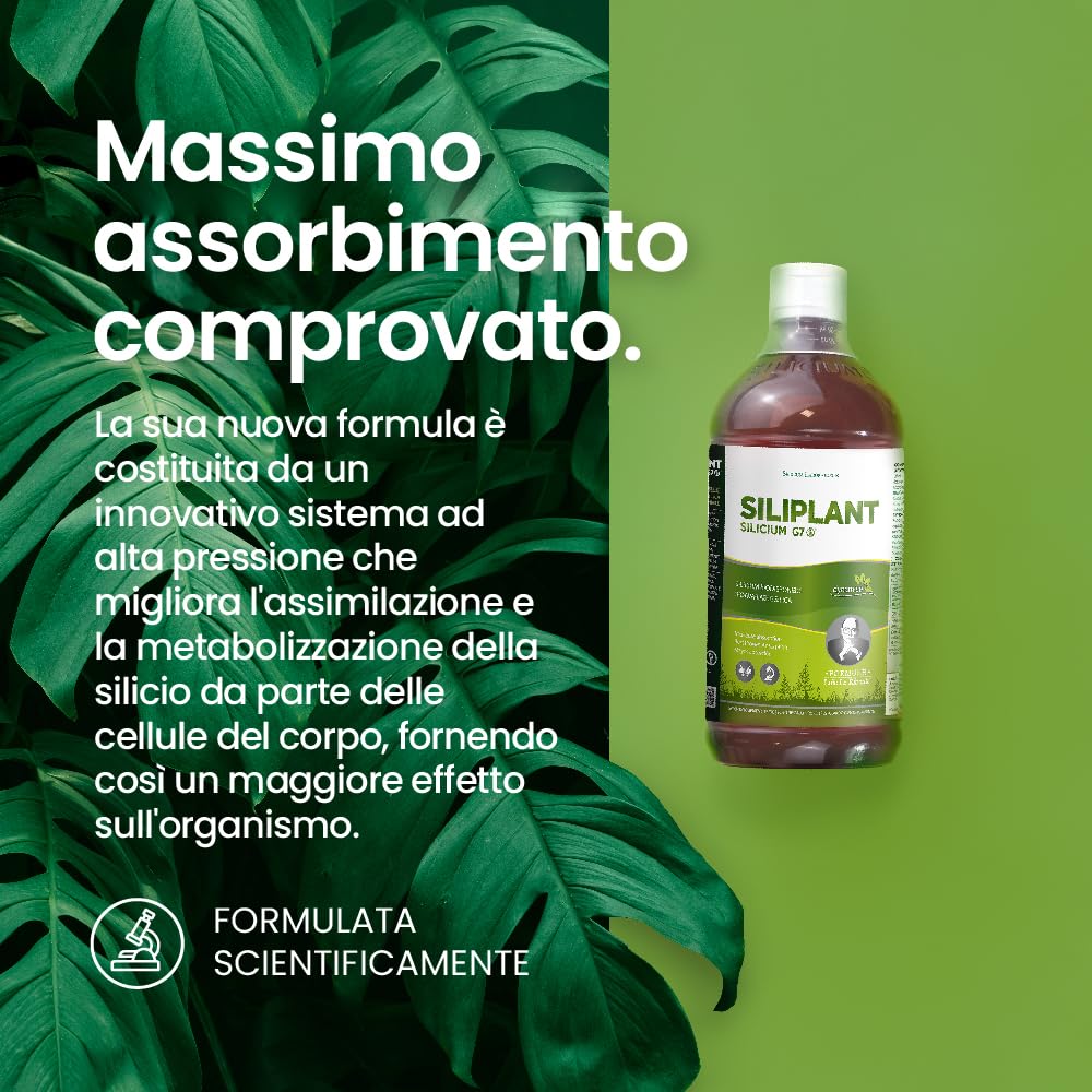 G7 Siliplant Formula Migliorata. Integratore Alimentare di Silicio Liquido, Integratore Collagene Naturale, Integratore Ossa e Articolazioni per l'elasticità della Pelle. Trattamento 33 Giorni.