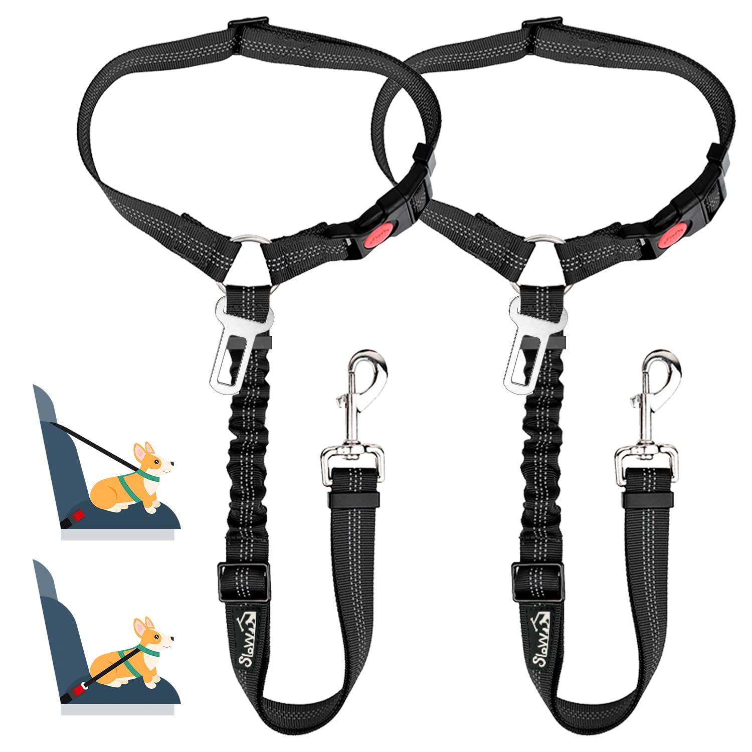 Set Harnais + Laisse + Collier Anti-Traction Pour Chien De Petite Taille - Sécurité Et Confort - Réglable Et Réfléchissant