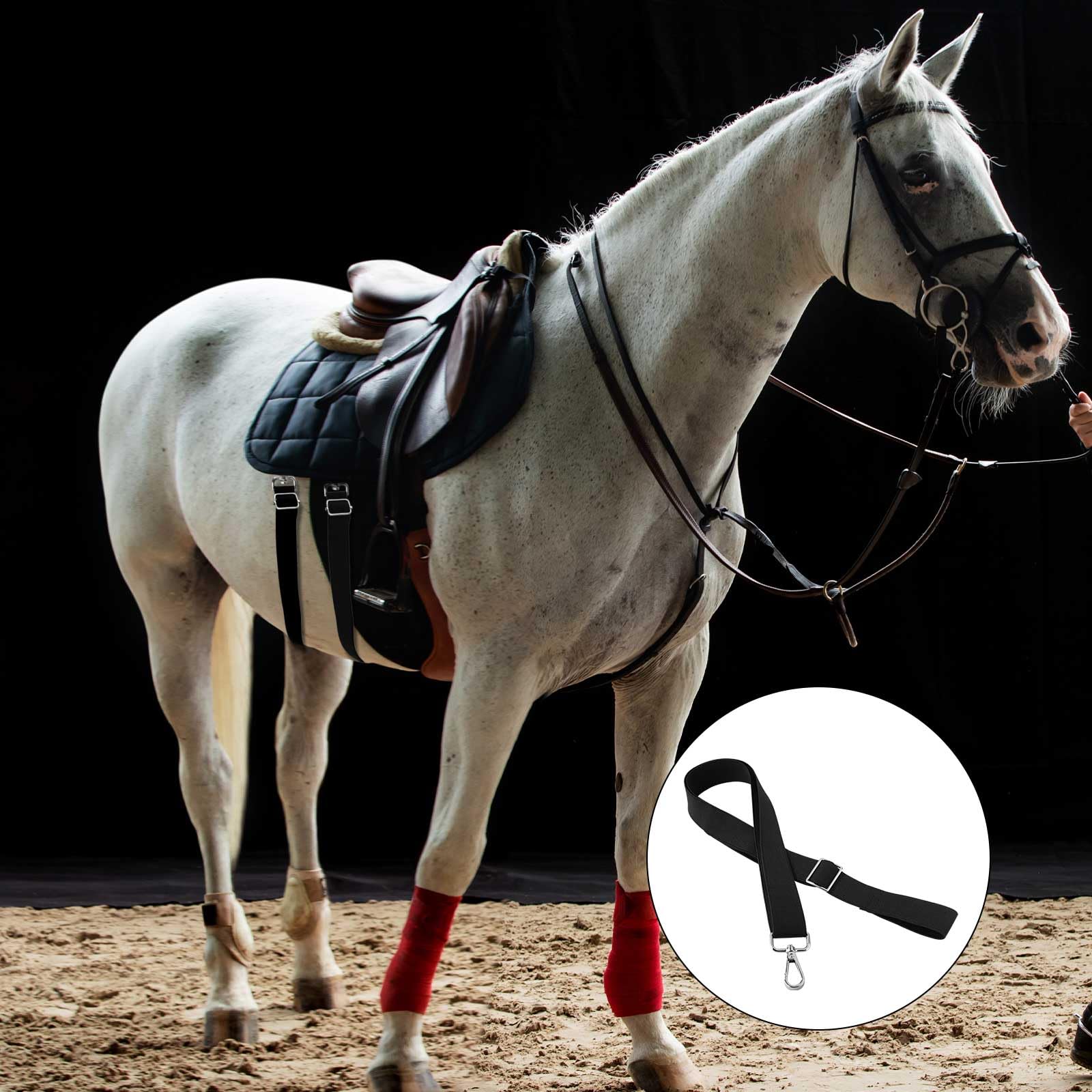 Sangles De Jambe VANZACK Pour Couverture Cheval - Élastiques, Double Mousqueton, Lot De 2, Noir