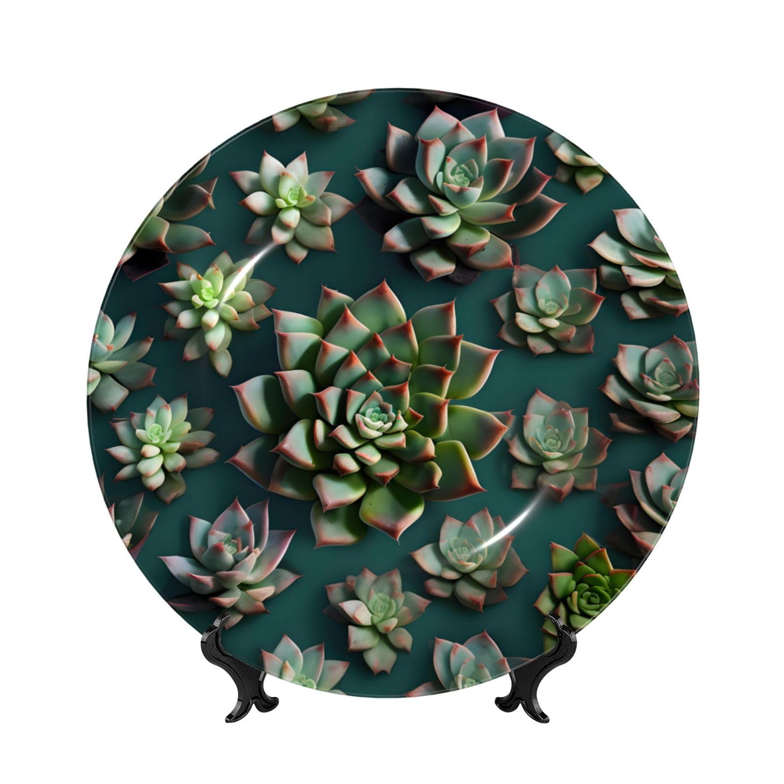 SXZVVBN Many succulents Bone China Decorative Plate Art with Stand Removable Adhesive Hanging for Home Office 8in（20cm）