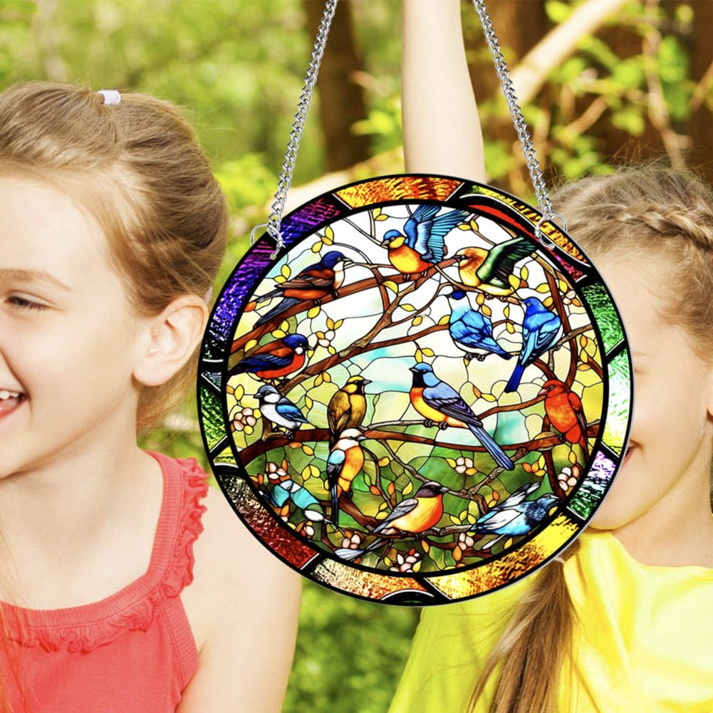 Kolibrie Zonnevanger, 20 cm, dubbelzijdig acrylraam met ketting om op