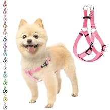 PUPTECK No Pull Dog Harness Small Sized Step-in Adjustable Puppy Vest