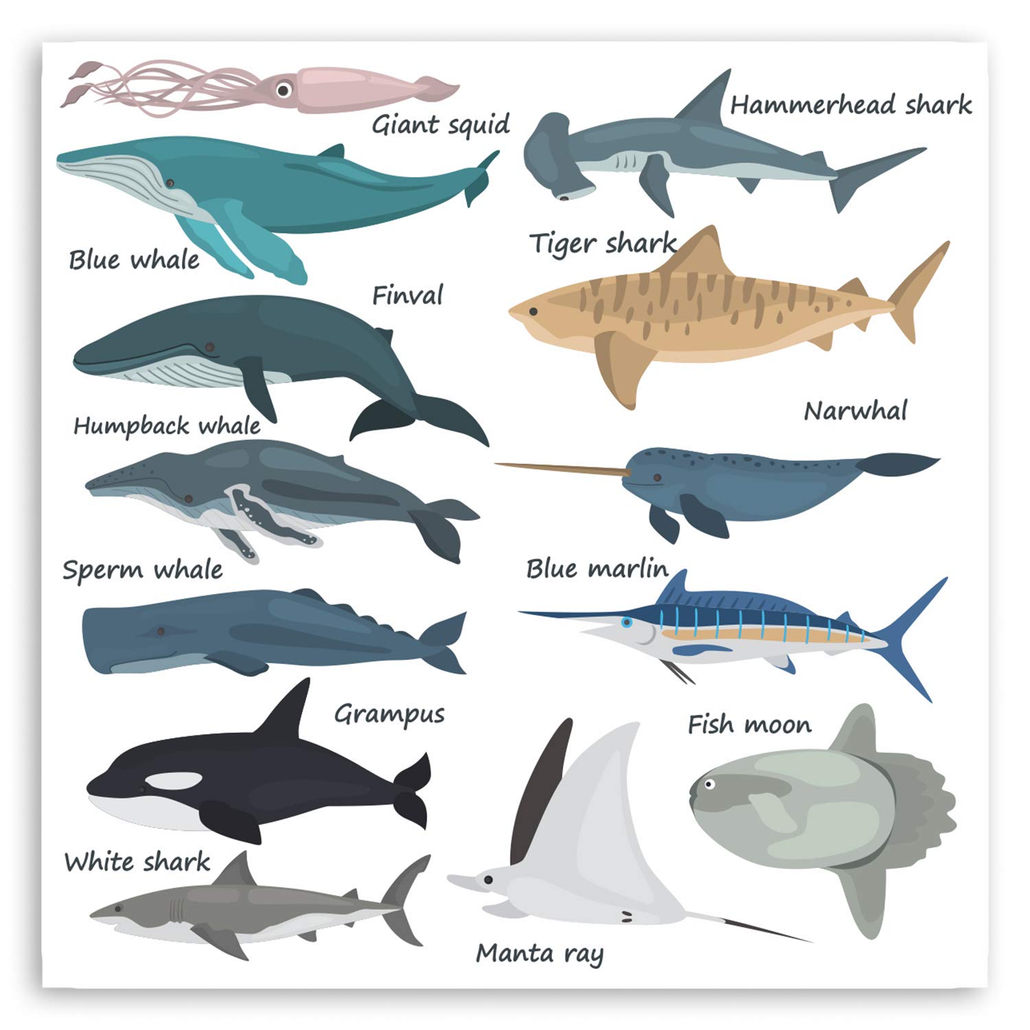 2 x 10cm Sharks Whales Fish Vinyl Stickers - Ocean Marine Biology Sticker #30450 (10cm Wide)