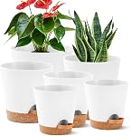 6 Pack Pots de plantes Intérieurs 8/7.6.5/6/5.5/5 Inch Pots à fleurs Auto-arrosage Planters pour plantes Intérieures avec trou de drainage Pot de plantes en plastique pour fleurs violettes africaines Succulents(Noir)