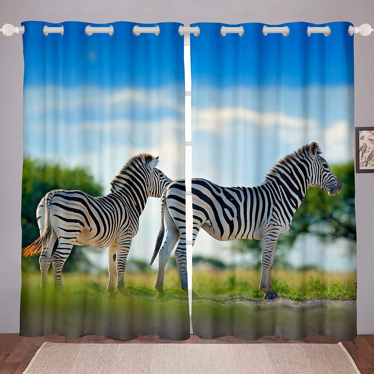 Cool Zebra Rooms For Girls