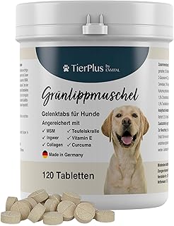 TierPlus Gelenktabletten für Hunde mit Grünlippmuschel, MSM, Ingwer, Chondroitin, Glucosamin und Teufelskralle angereichert. Hohe Fressakzeptanz, 120 Stück, Made in Germany product image