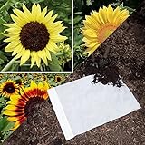 Park Seed Easy DIY Planting Sow Effortless Collection Seed Mats, Sunflower Fantasy Mix