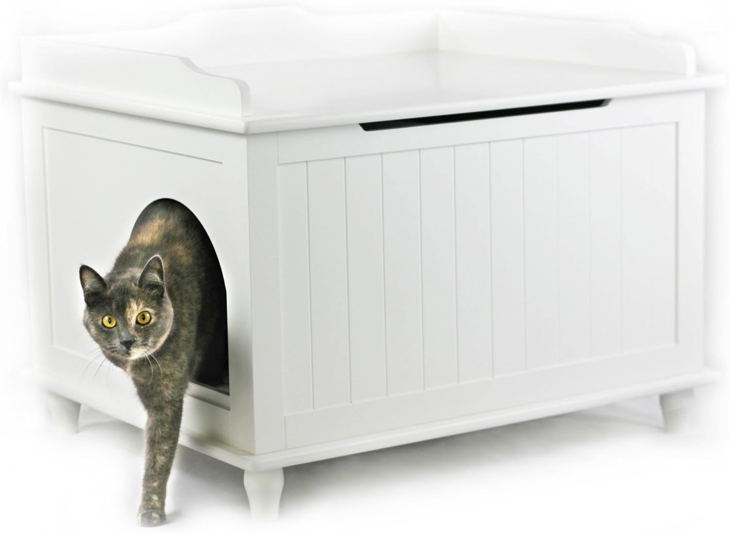 designer cat box