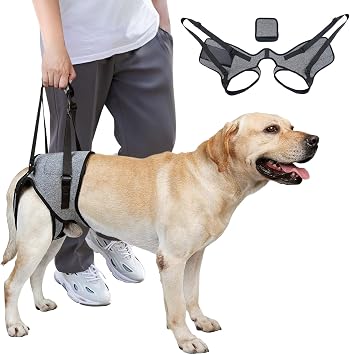Dog Lift Harness, Dog Sling for Medium Large Dogs, Adjustable Dog Support Harness for Back Legs, Comfy Design Pet Harness with Padded for Elderly, Injured, Arthritic, Senior, Disabled DogsL