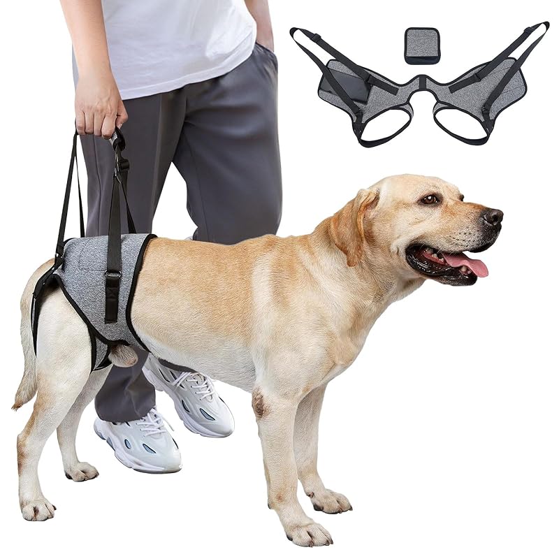 Peitoral de suporte para cães com alça acolchoada GRLEAYIE, Cinza, tamanho Small (S), 1 unidade