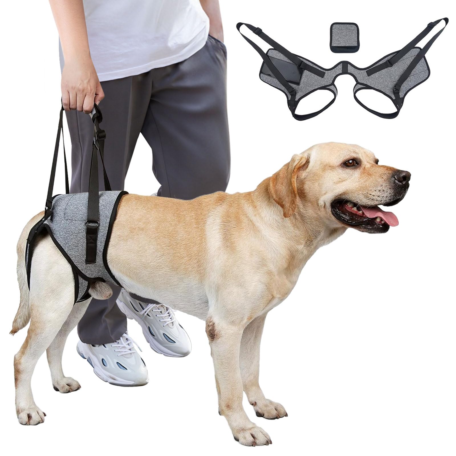 Dog Lift Harness, Dog Sling for Medium Large Dogs, Adjustable Dog Support Harness for Back Legs, Comfy Design Pet Harness with Padded for Elderly, Injured, Arthritic, Senior, Disabled Dogs?M?