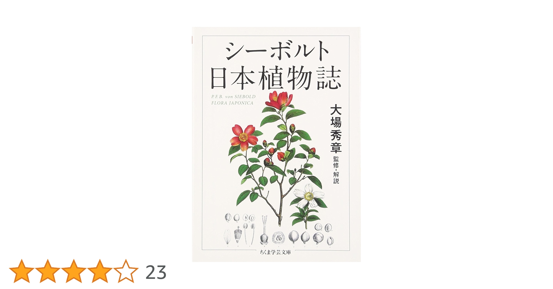 71KXQl-yuAL.jpg_BO30,255,255,