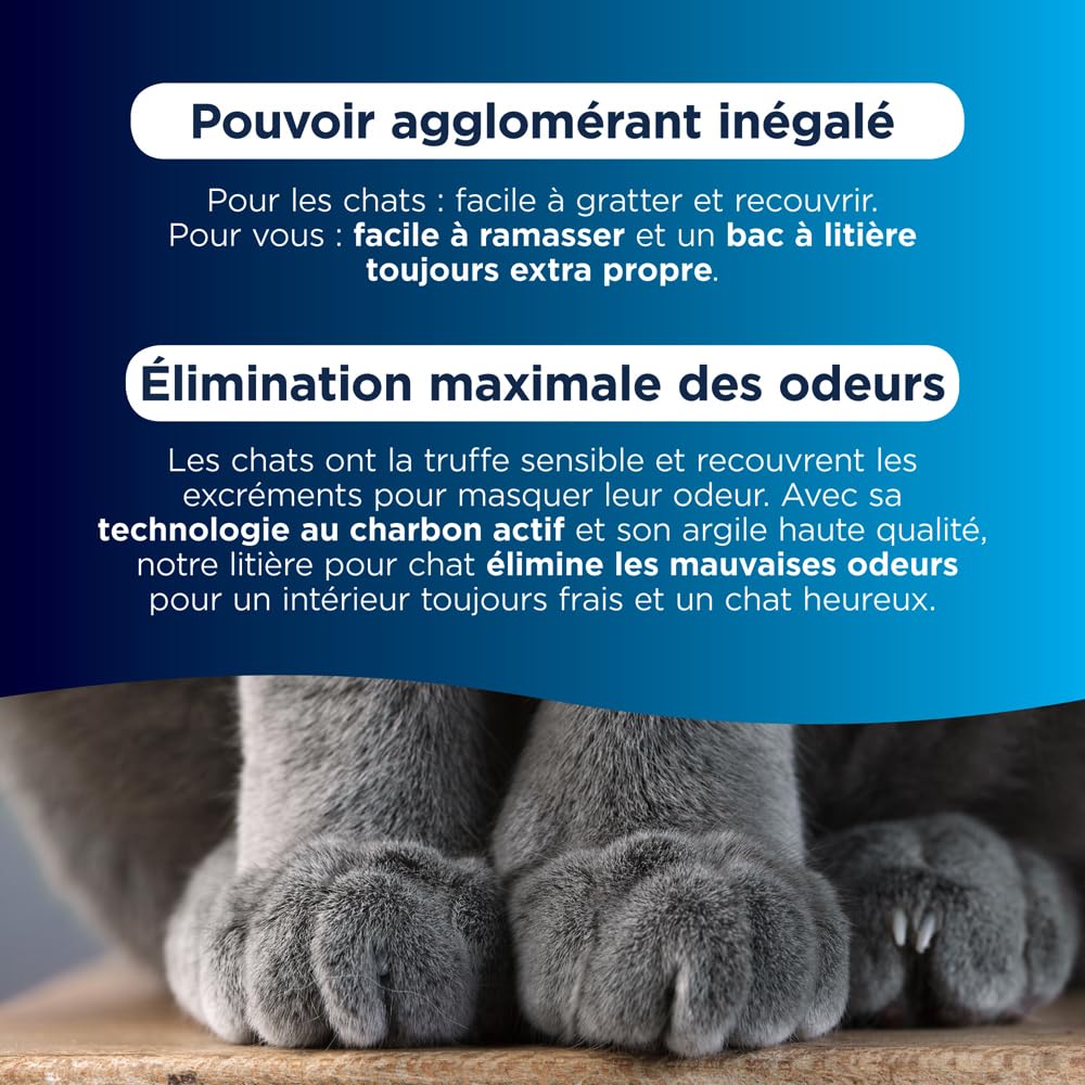 Ever Clean litière agglomérante parfumée pour Plusieurs Chats 20 litres