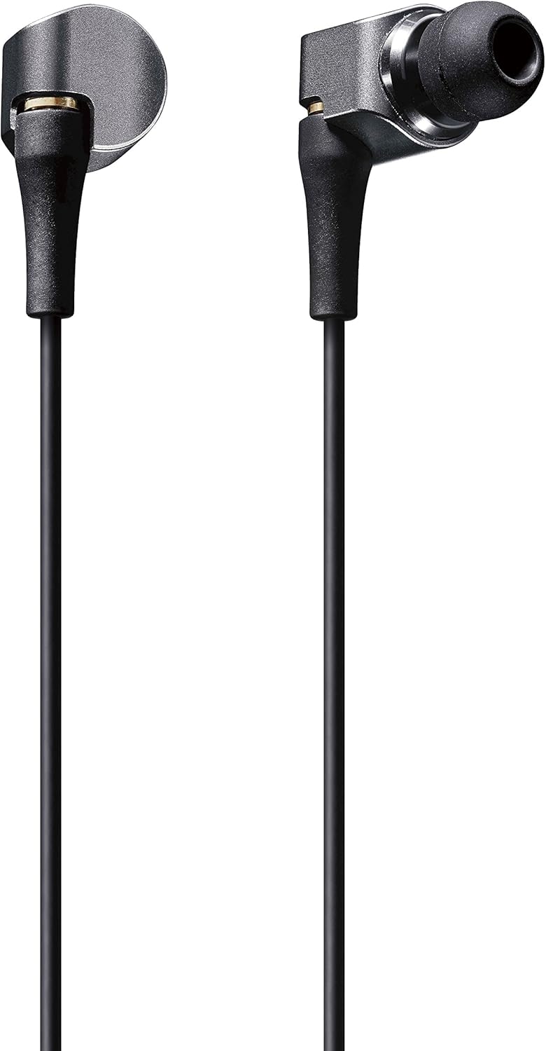 パナソニック RP-HDE10 Panasonic Stereo Inside Hon RP-HDE10-S | eBay