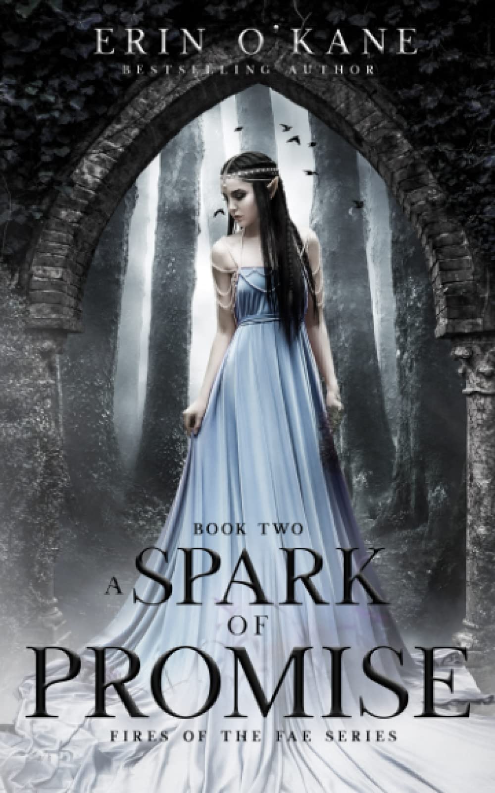 A Spark of Promise: Fires of the Fae, book two: 2 (Fires of the Fae Series)