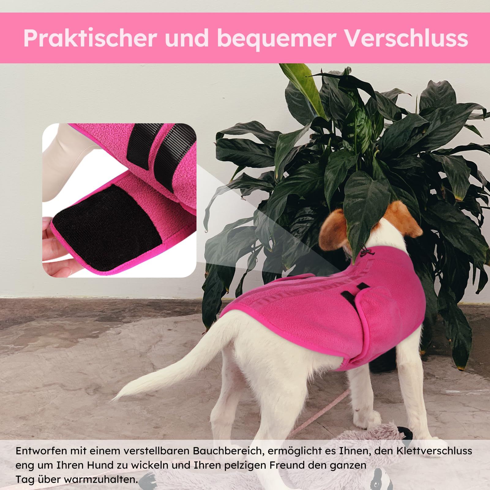 Queenmore Hundepullover Fleece Pullover Hundemantel Winter, Hundepullover Kleine Hunde,Hundeweste Wintermantel Hunddackel, Pullocver Chihuahua, Bulldog, Greyhound, Rosa, M