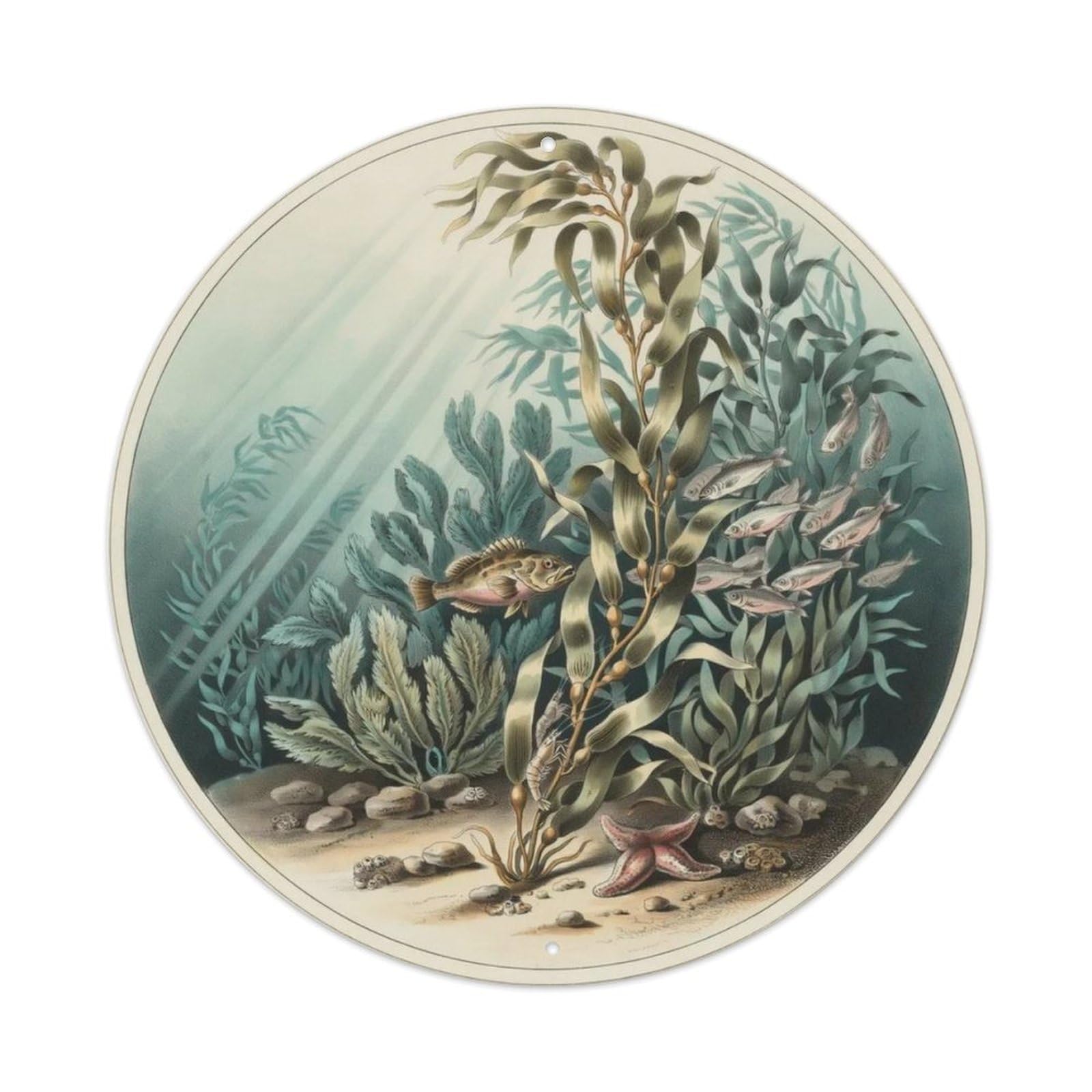 Vintage Kelp Forest Metal Tin Sign Plaque