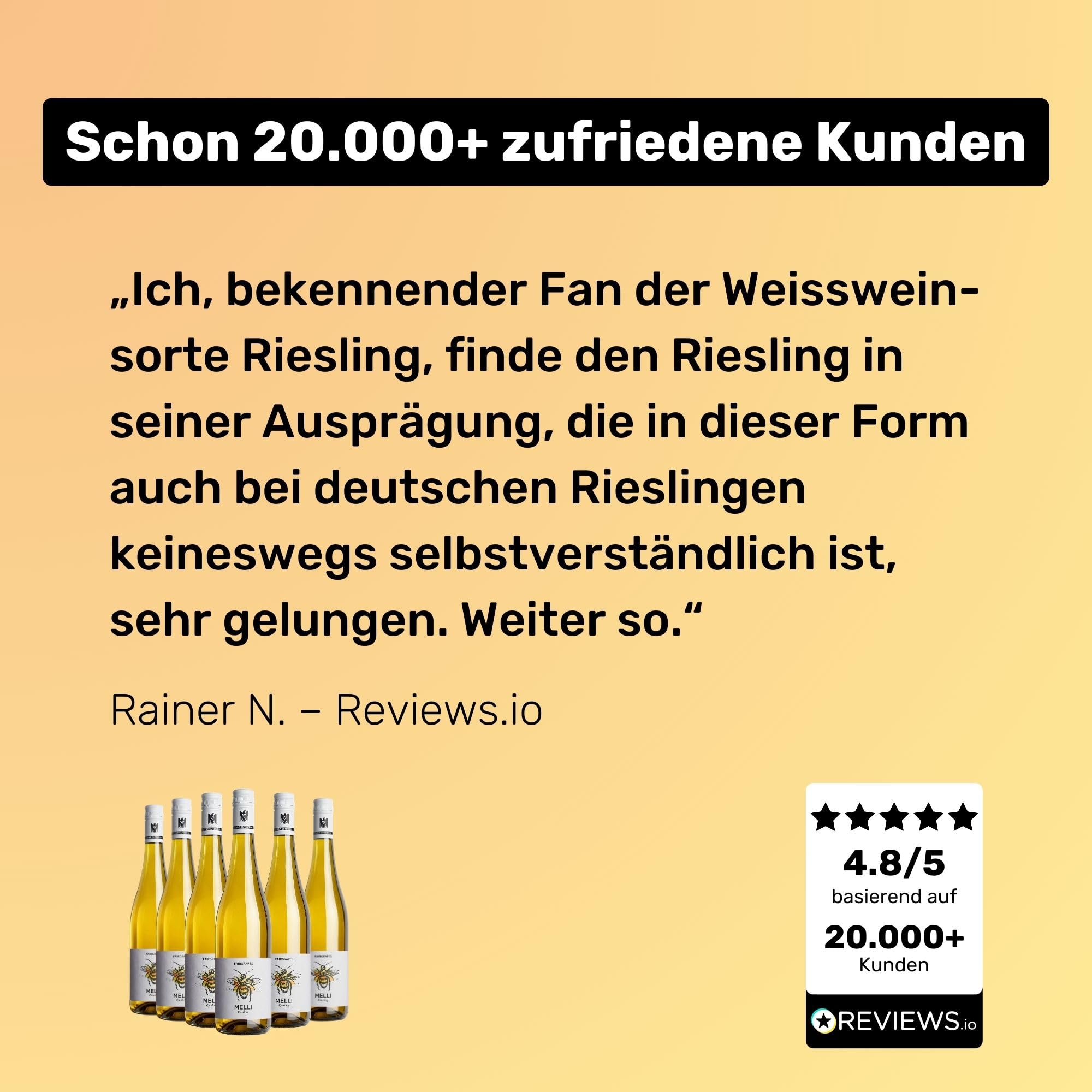 FairGrapes Riesling »Melli« | 89+ Punkte Falstaff | VDP.Gutswein | 2023 Weißwein Trocken | Limette & Grapefruit | Geschenkidee (6 x 0.75 l)