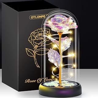 Otlonpe Glass Rose Flower Handmade Forever | Personalized Romantic Christmas, Valentines, Mothers Day, Birthday Gifts for Women Mom Her Grandma Girlfriend Wife | Home Office Flower Lamp Decorations