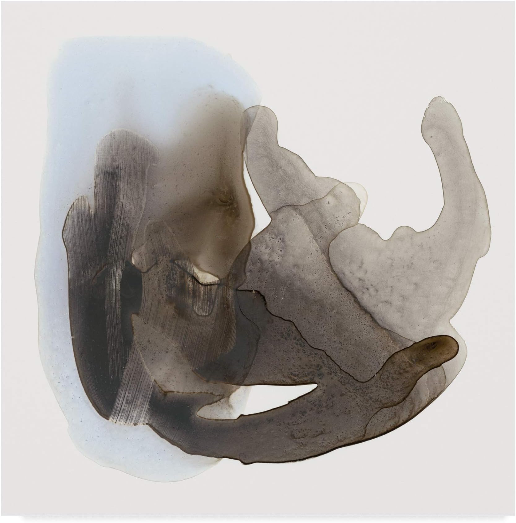 Trademark Fine Art Embodiment II by Renee W. Stramel, 14x14,