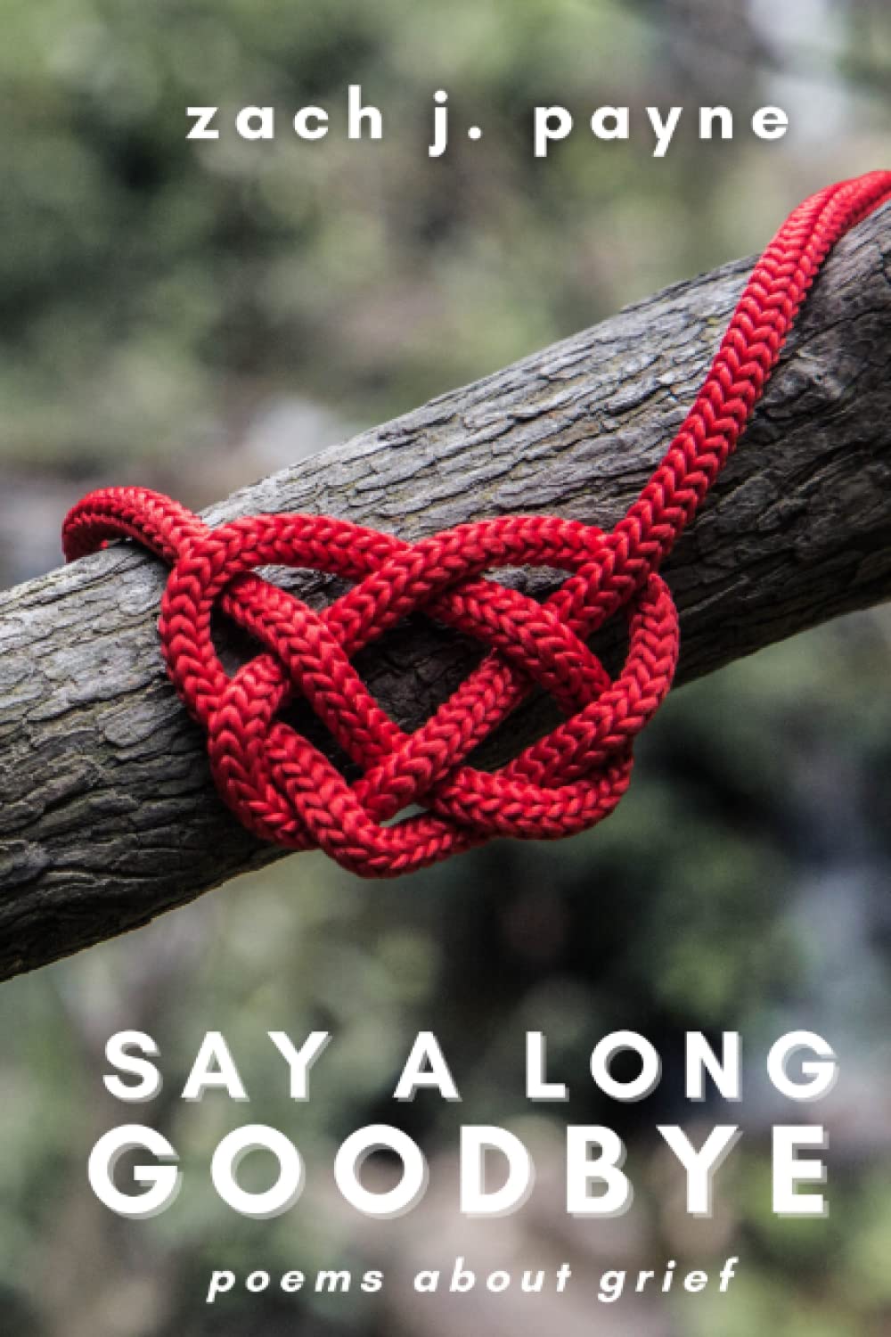 Say a Long Goodbye: poems about grief
