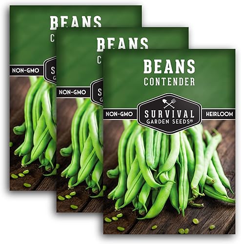 Survival Garden Seeds - Semillas de frijol Contender Bush para plantar - 3 paquetes con instrucciones para plantar y cultivar deliciosos judías