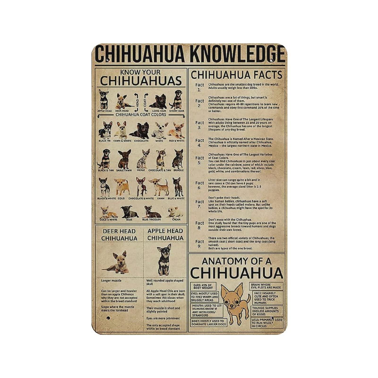 woodlogic Metal Tin Sign Chihuahua Unplaning Infographic Vintage Tin Poster Metal Sign Wall Decoration Country Kitchen Home Garage Decor 12"x8"