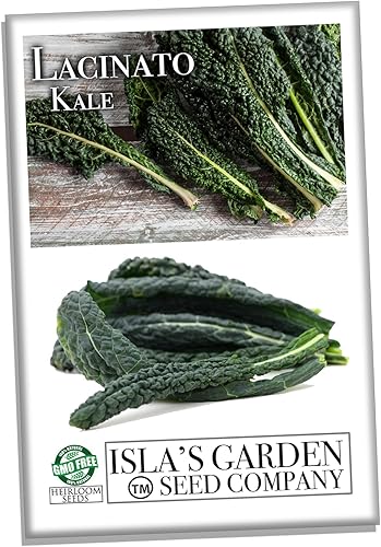 Miniatura 2 de Semillas de col rizada Lacinato para plantar, más de 500 semillas tradicionales por paquete, semillas de jardín de Isla (semillas de jardín de