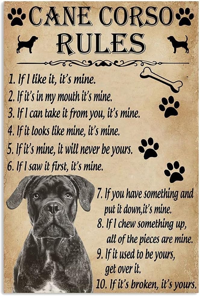 QKIODS Aluminum Metal Signs Vintage Rules For Your Dog Cane