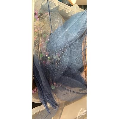 ChangThai Design 50 Feuilles Squelette Brun hEvEa Naturel Scrapbooking Artisanat Bricolage Carte Mariage