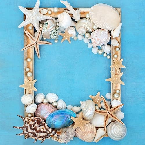 Miniatura 6 de 24 conchas marinas grandes, conchas marinas mixtas, conchas de mar de varios tamaños, conchas naturales para pecera, playa, fiesta temática de