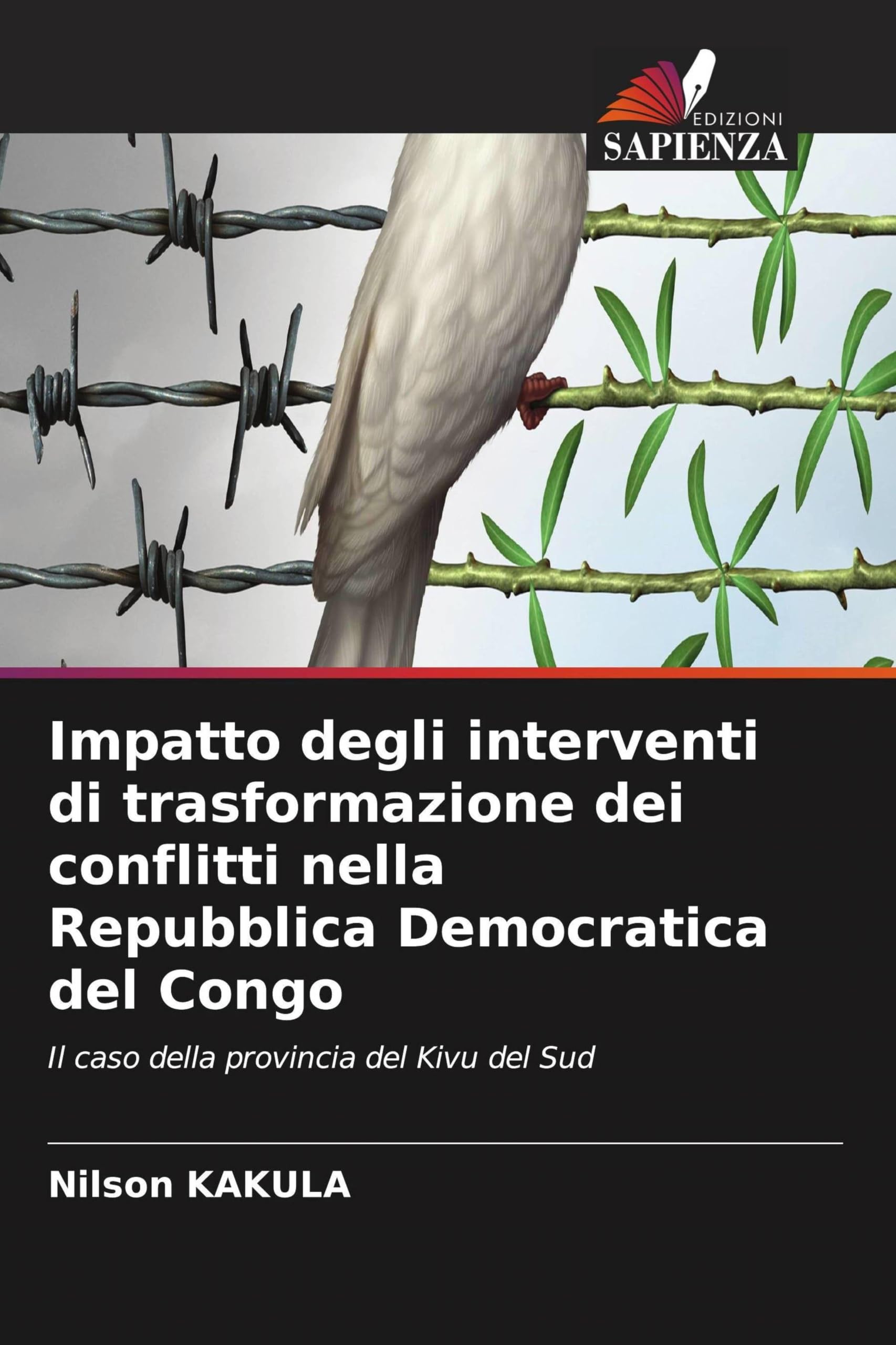 Impatto degli interventi di trasformazione dei conflitti nella Repubblica Democratica del Congo: Il caso della provincia del Kivu del Sud