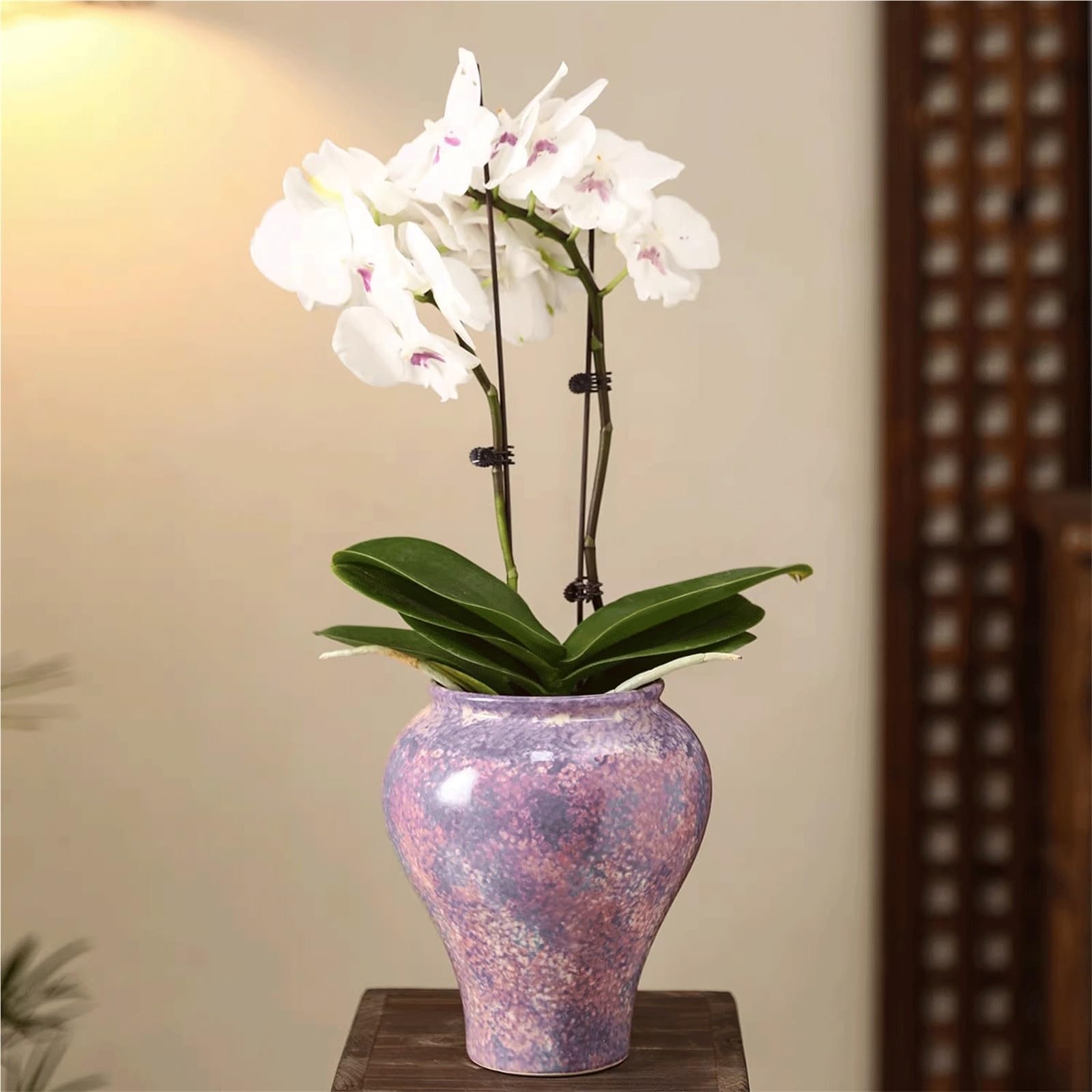 Doniczka Te ceramiczne doniczki w stylu vintage są idealne do uprawy storczyków Phalaenopsis i innych roślin Doniczka ogrodowa(Purple)