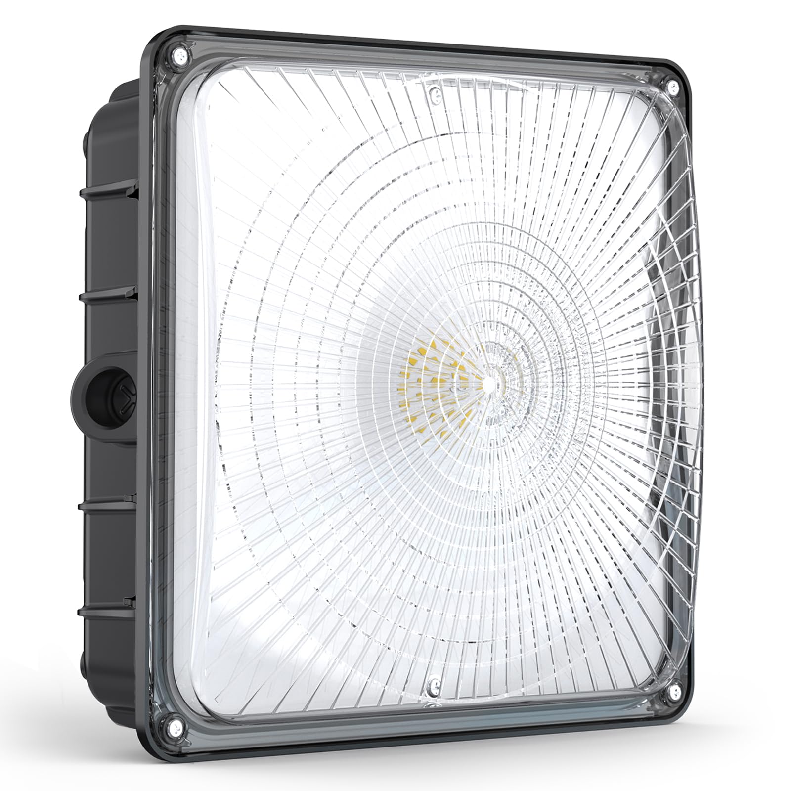 CANOPY collection FORA FIRSTLIGHT ヨーヨー Canopy Fora / Canopy Collection