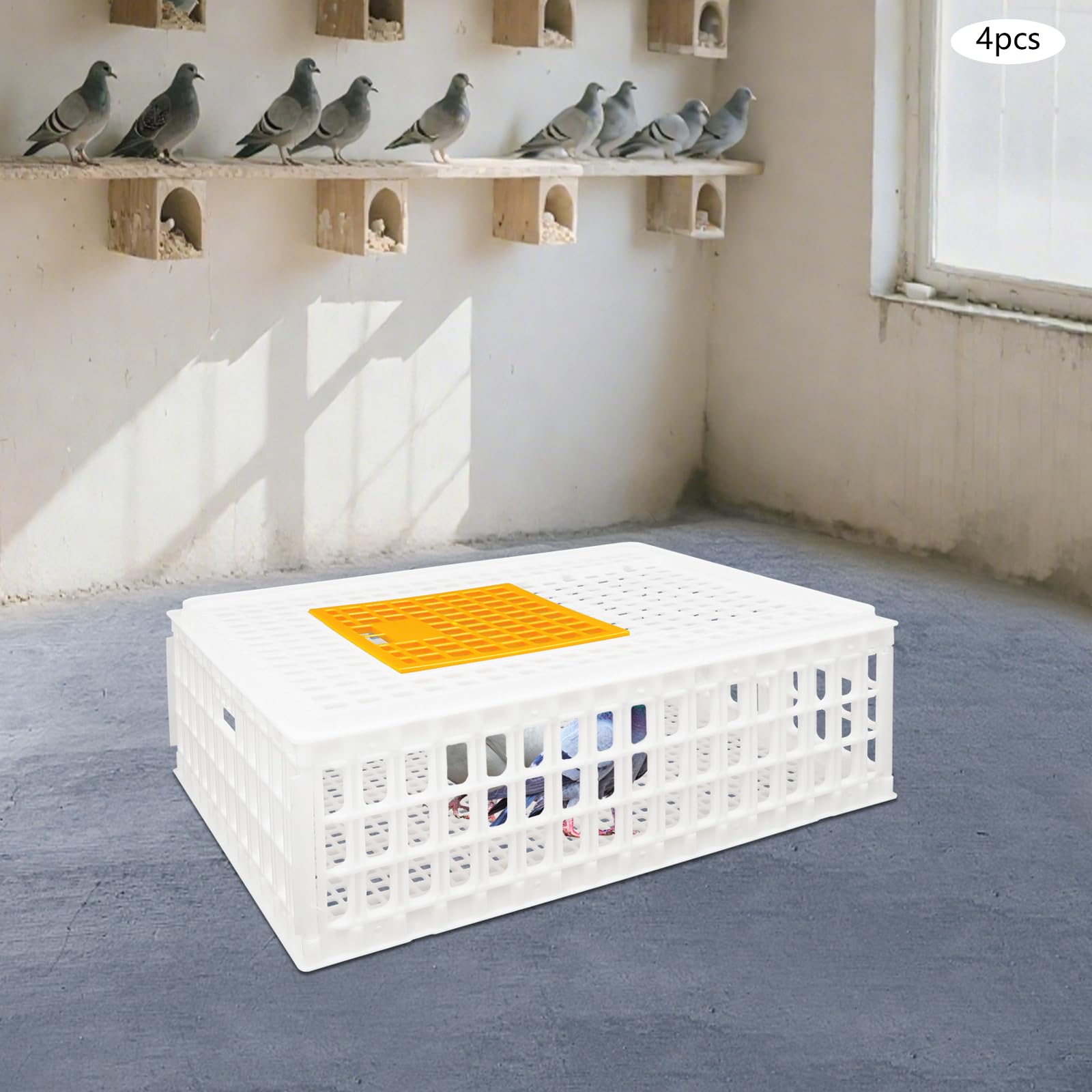 Lot de 4 caisses de transport pour volaille 77 x 55,5 x 27 cm - Avec porte coulissante et poignées de transport - Capacité de charge de 200 kg - Extra robuste - Pour volaille, poulet, canard, oie