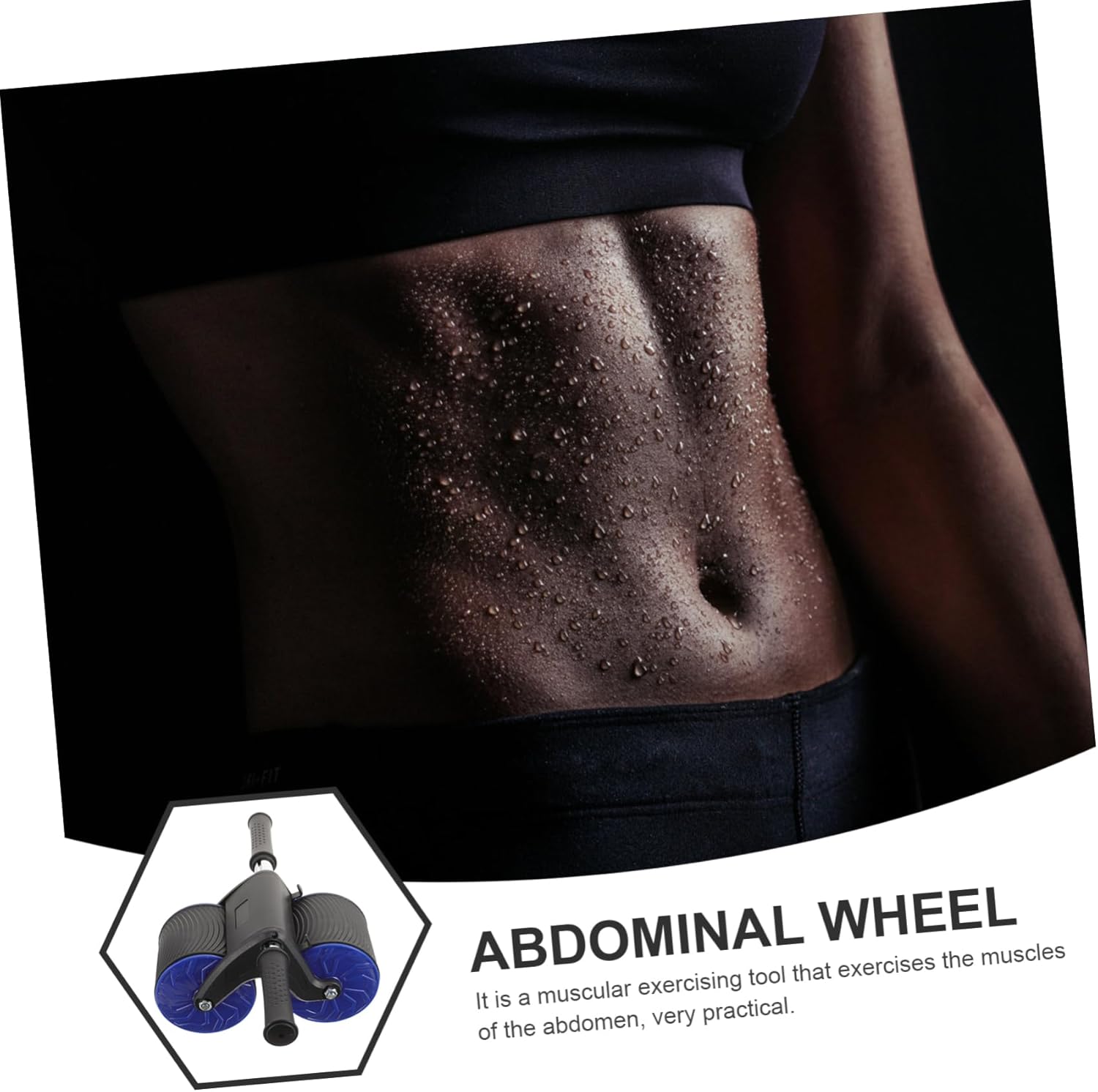 Abdominal Exercising Disc Abdominal Wheel Fitness Supply Training Tool