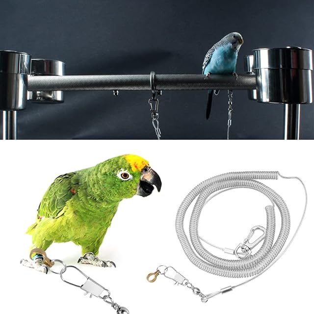 Foto 4 de 8 de Oumefar Cuerda voladora de p¨¢jaro de 6 m Kits de Correa para Mascotas antimordida Cadena de pie de p¨¢jaro…