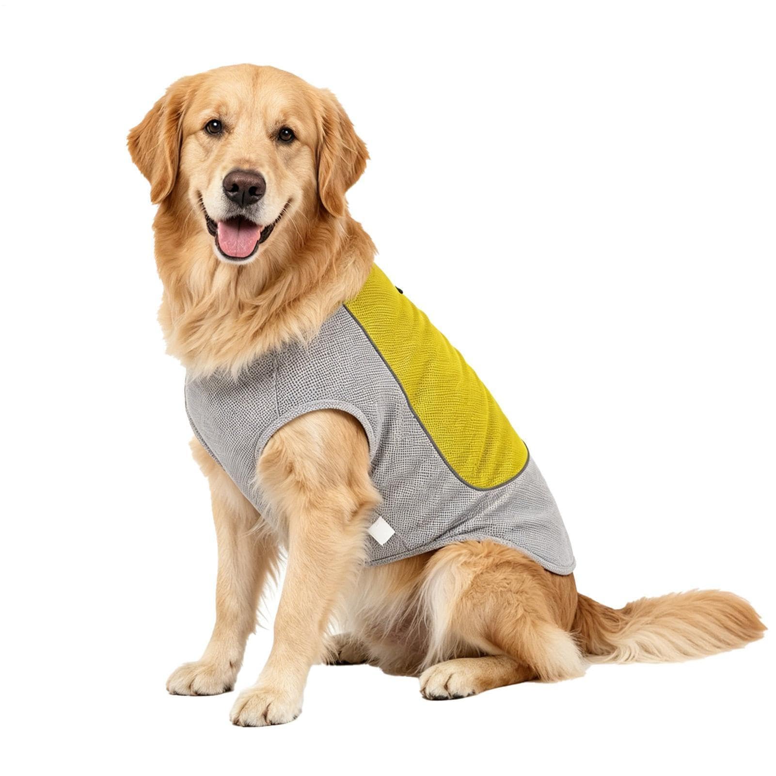 Gilet rafraîchissant pour chien avec poche à glace, respirant et