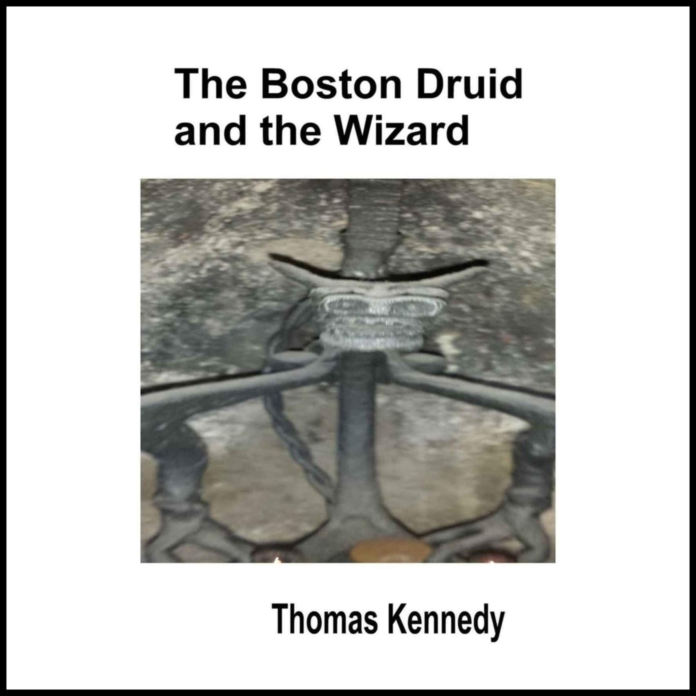 Cover art for The Boston Druid and the Wizard
