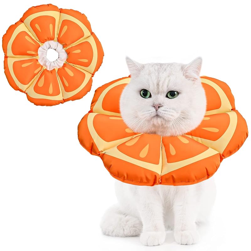 Colar elizabetano macio ajustável para gatos Avont Mandarin M