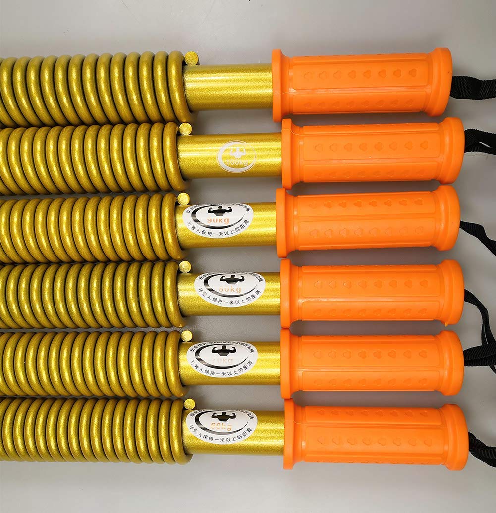 Python Workout HAOYING Gold Bar Arm Shoulder Upper Barbados Power Twister