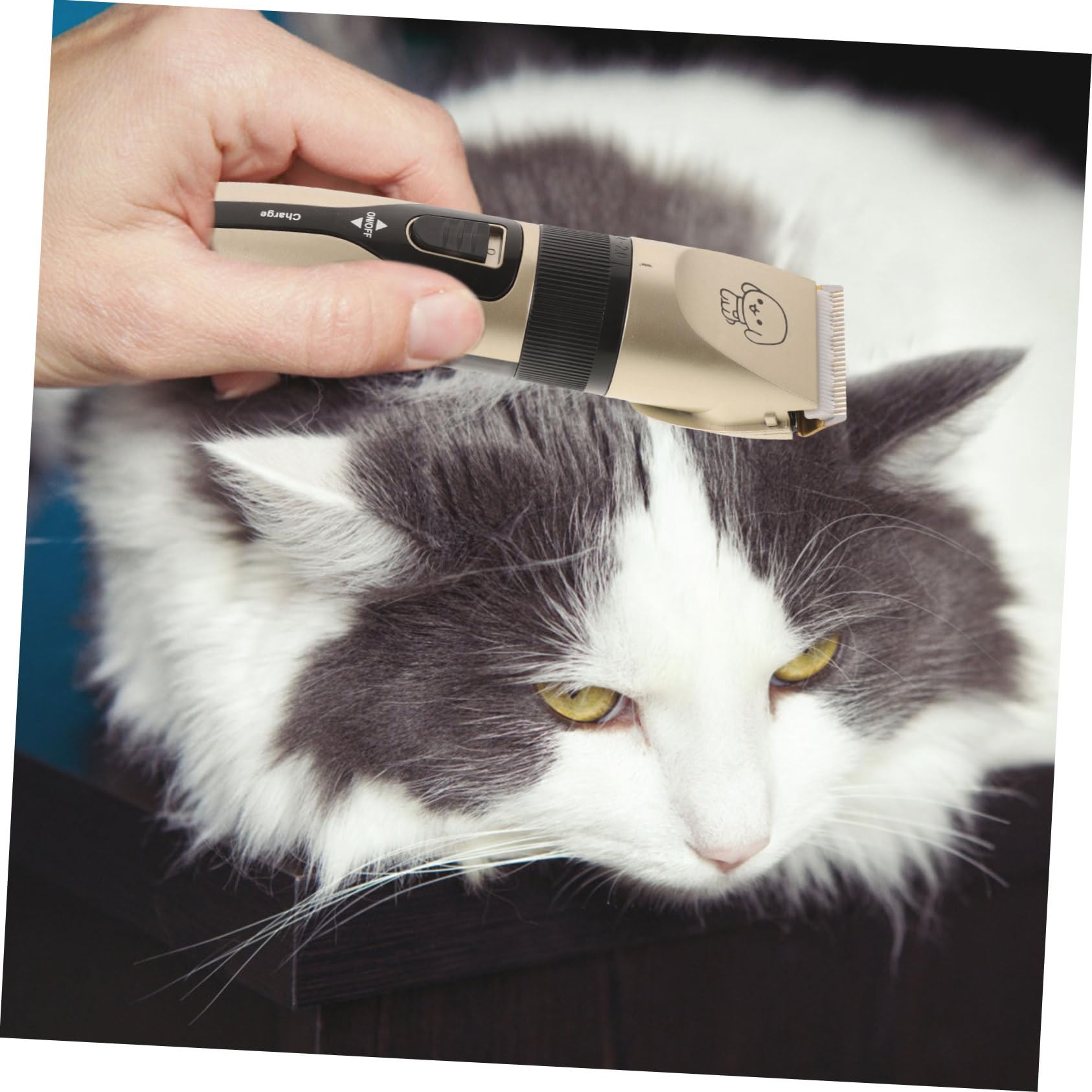 Tagliapeli Elettrico per Cani e Gatti, Set 4 Pezzi, 1200mah | Alimentazione Via Cavo, Prevenzione della Ruggine, Materiali Ceramica, Metallo e Abs